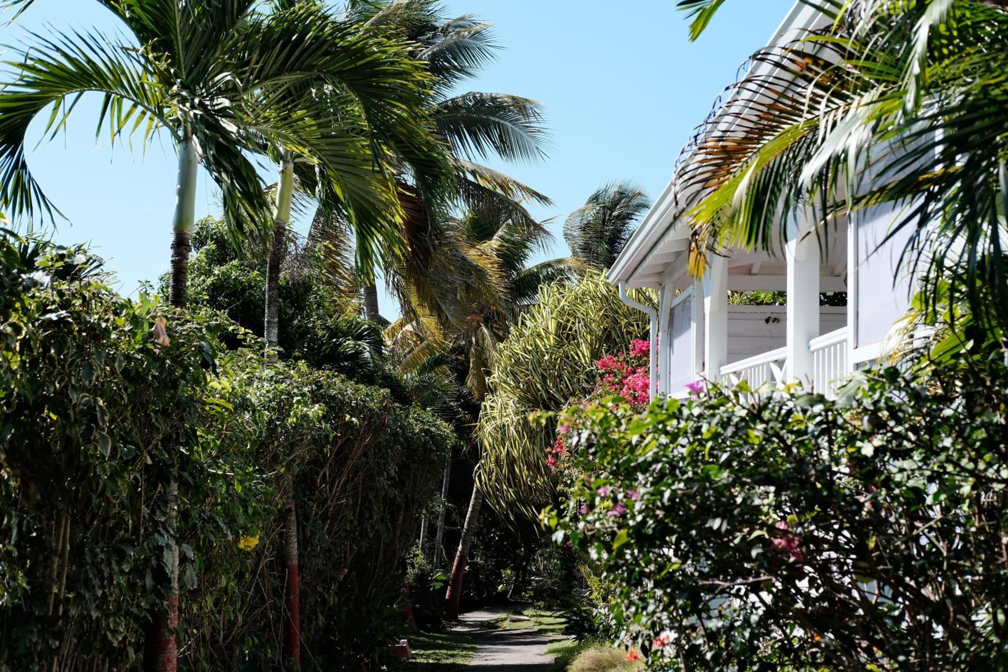 Nid Kreyol Villa Sainte-Anne  Exterior foto