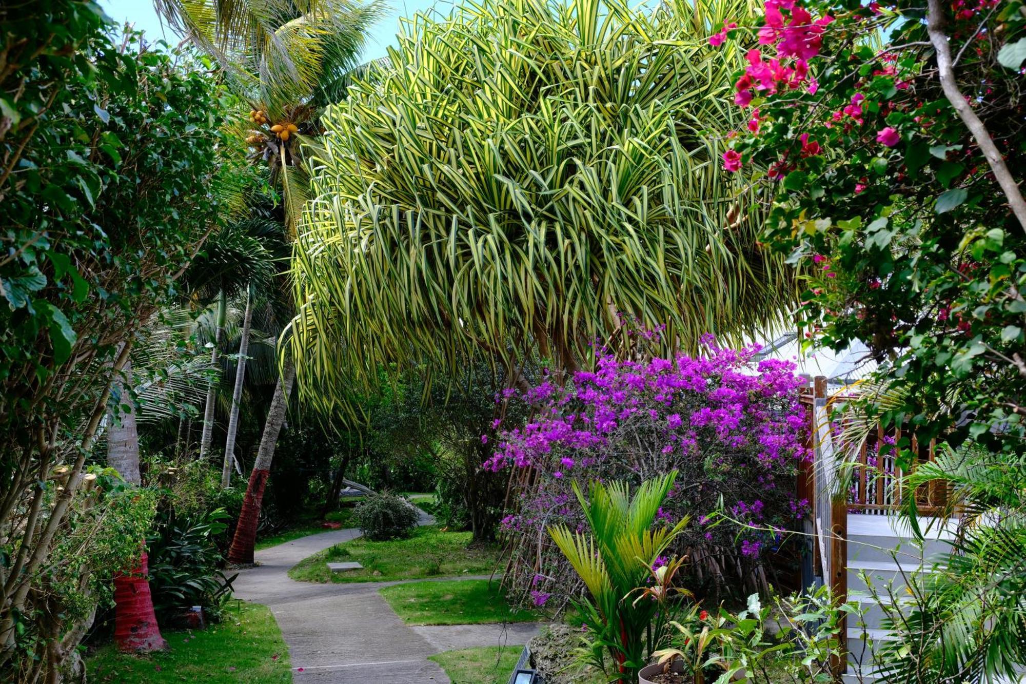 Nid Kreyol Villa Sainte-Anne  Exterior foto